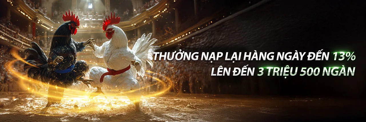 Đá gà trực tuyến 04tr88